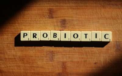 What is gut health and a gut microbiome? And how can you improve yours and your family’s?